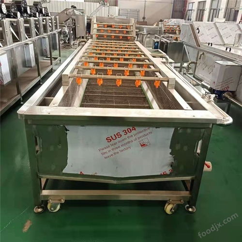 蔬菜清洗機 普通機械設(shè)備安裝服務(wù)詳解